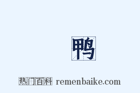 緑鸭是什么意思的图片